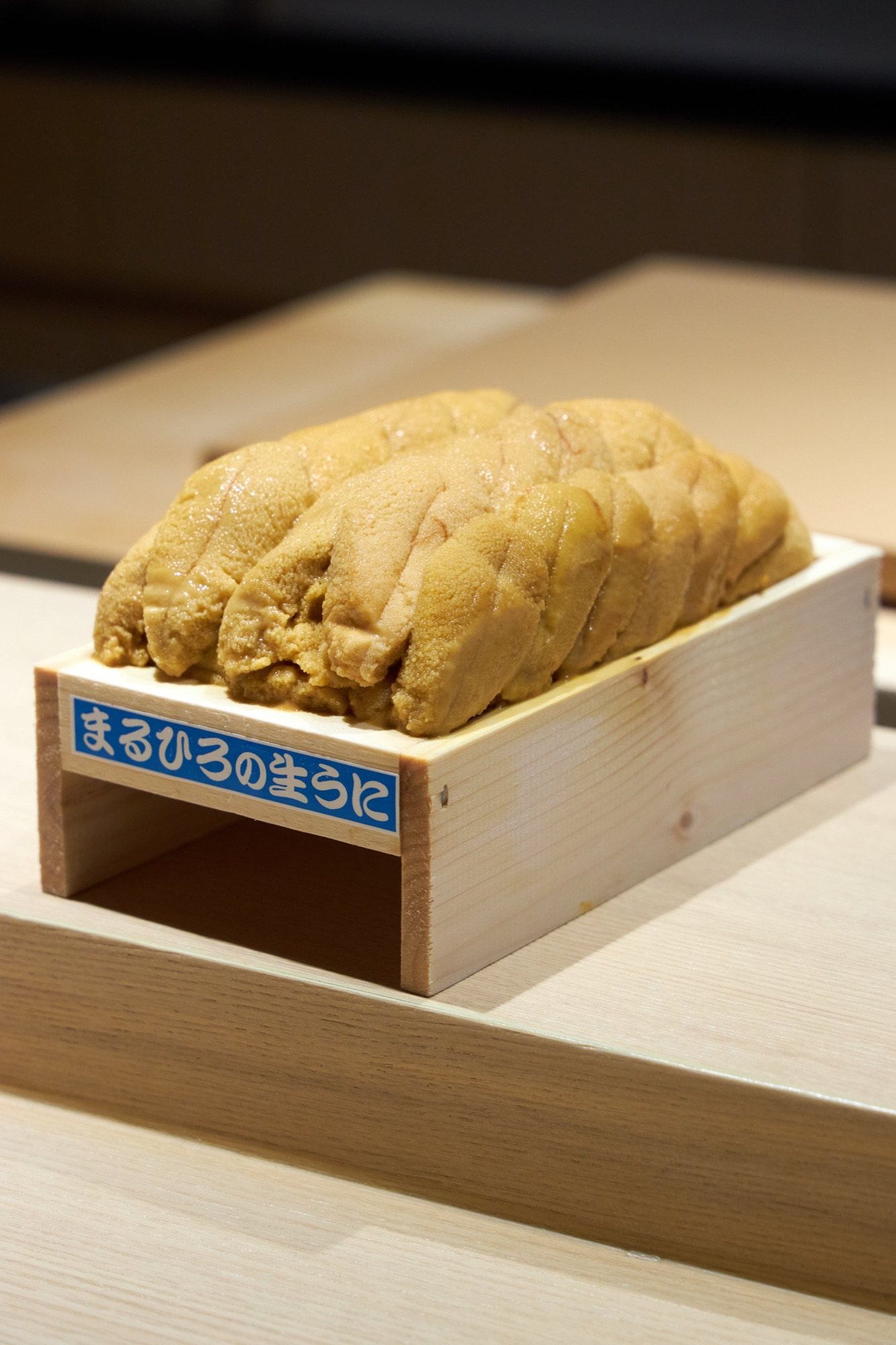 海膽