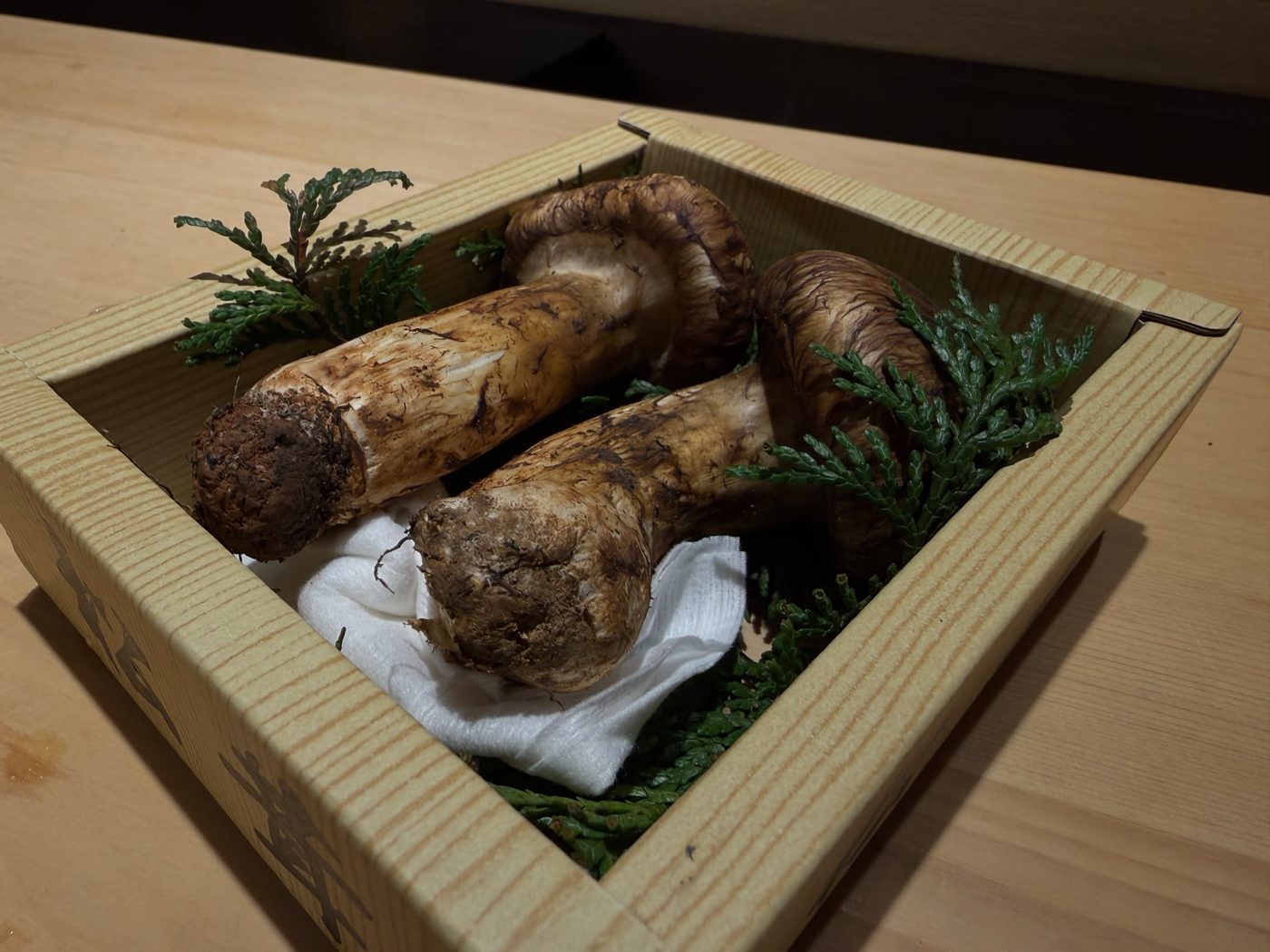 松茸